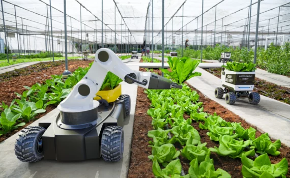 2026 01 21 4a2d6f06 30be 4523 a5d4 03d568701bdc 168dbbd8