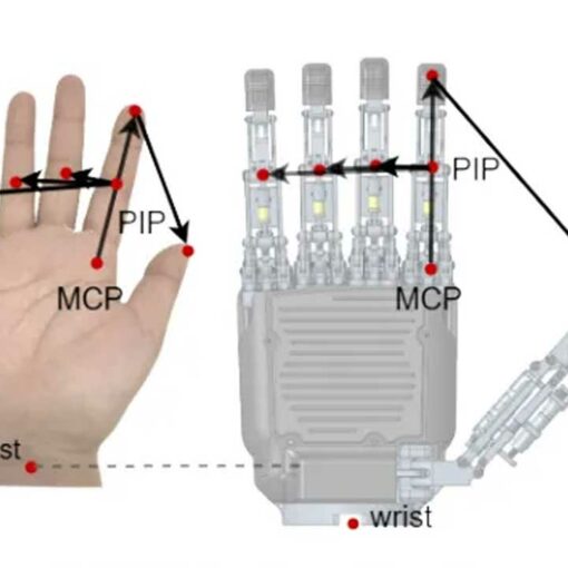 2026 02 03 691ded13470928a014f6fe17 keyvector