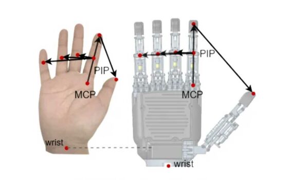 2026 02 03 691ded13470928a014f6fe17 keyvector