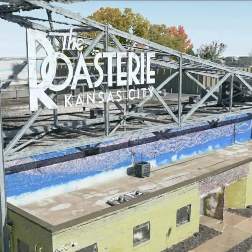 2026 03 25 fsdfdfdfdff65656556